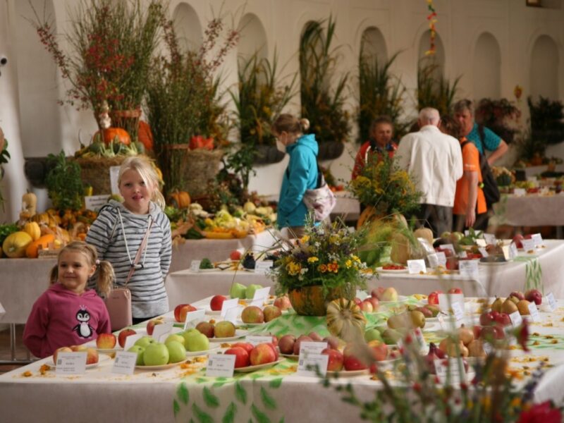 https://www.zamek-slavkov.cz/wp-content/uploads/307040339_787890662188167_7673492482698339786_n.jpg
